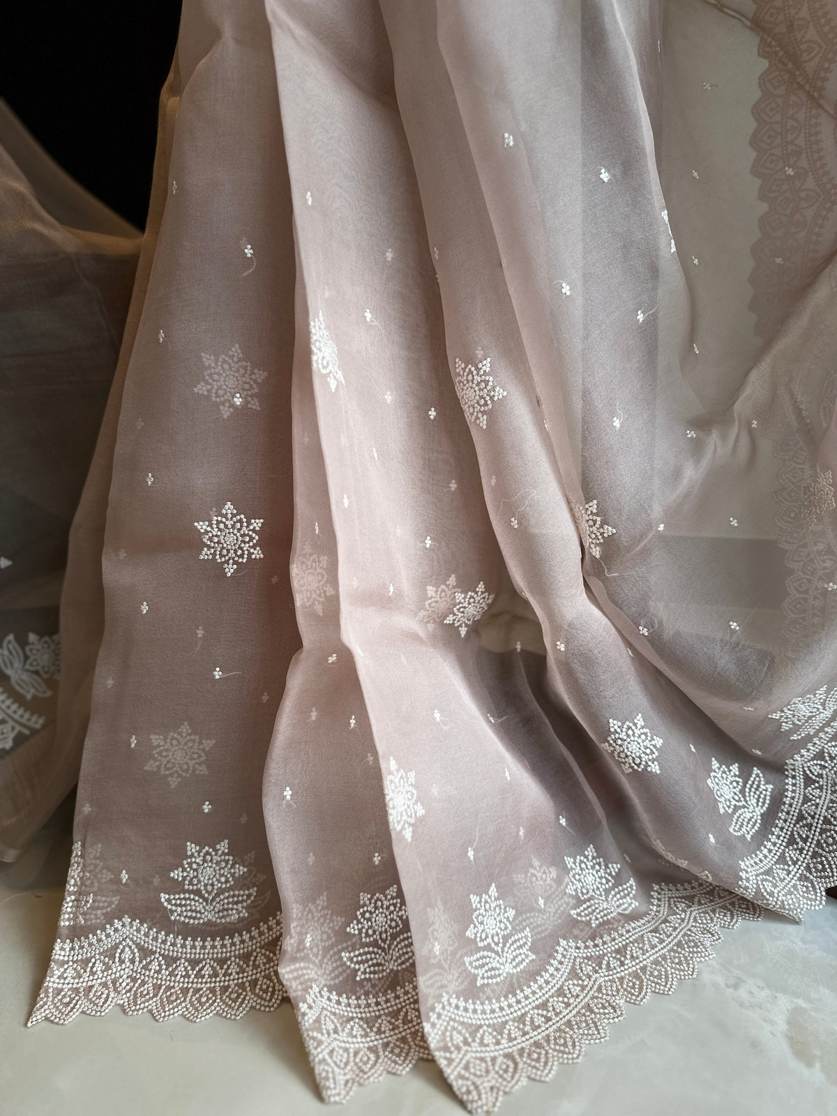Pastel Pearl Hand Embroidered Pure Organza Saree
