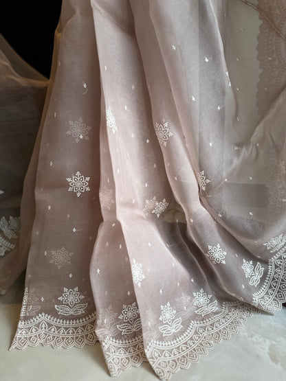 Pastel Pearl Hand Embroidered Pure Organza Saree